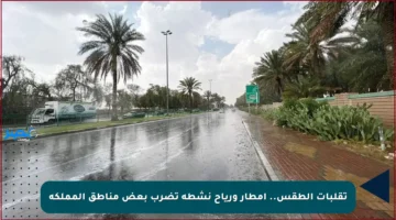 تقلبات الطقس.. أمطار ورياح نشطة تضرب بعض مناطق المملكة